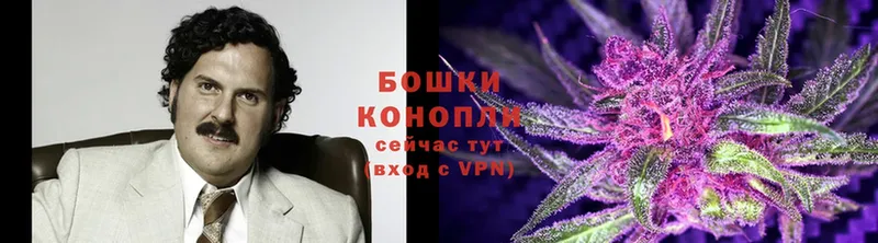 Бошки Шишки THC 21%  Кондопога 